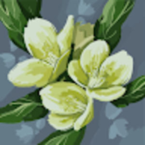 Meet your Posher, Ann